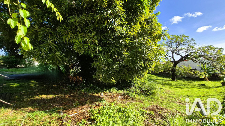 Ma-Cabane - Vente Terrain Schoelcher, 507 m²
