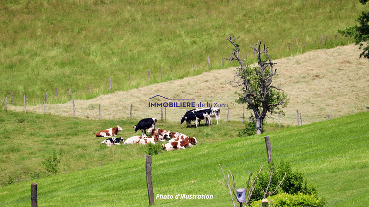 Ma-Cabane - Vente Terrain Schweighouse-sur-Moder, 505 m²