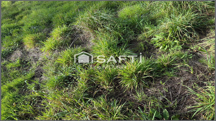 Ma-Cabane - Vente Terrain Segre, 455 m²