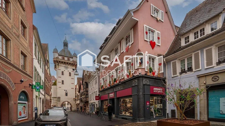 Ma-Cabane - Vente Terrain Selestat, 569 m²