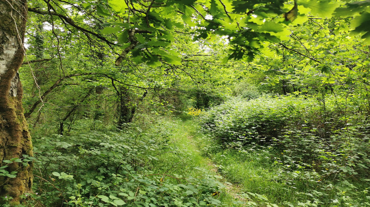 Ma-Cabane - Vente Terrain Selles-Saint-Denis, 7575 m²