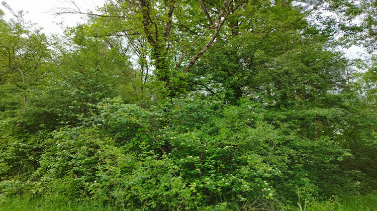 Ma-Cabane - Vente Terrain SELLES-SUR-CHER, 1753 m²