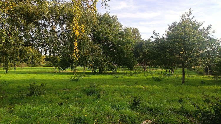 Ma-Cabane - Vente Terrain SELLES-SUR-CHER, 1277 m²