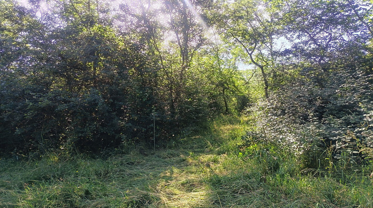 Ma-Cabane - Vente Terrain SELLES-SUR-CHER, 860 m²