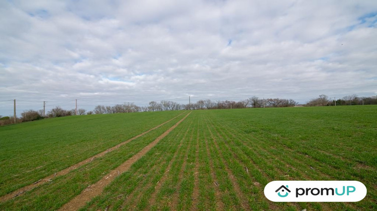 Ma-Cabane - Vente Terrain Sempesserre, 6000 m²