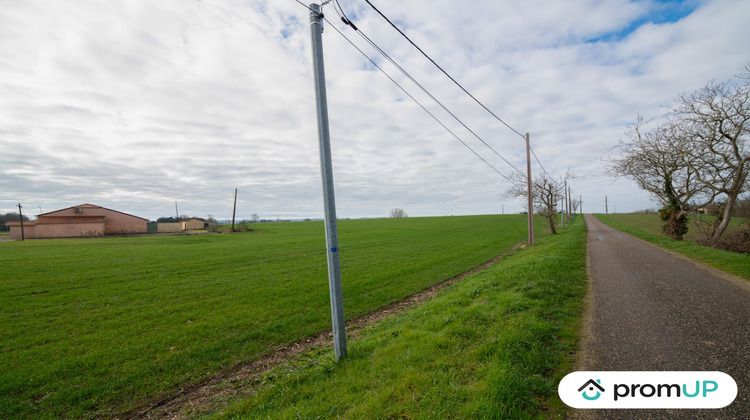 Ma-Cabane - Vente Terrain Sempesserre, 10000 m²