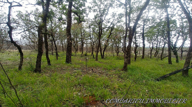 Ma-Cabane - Vente Terrain SEPTFONDS, 102100 m²