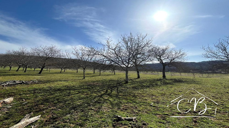 Ma-Cabane - Vente Terrain SERGEAC, 4264 m²