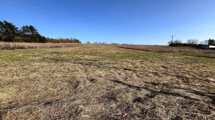 Ma-Cabane - Vente Terrain Sergines, 1452 m²