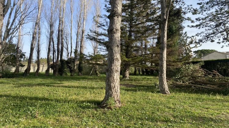 Ma-Cabane - Vente Terrain Sérignan-du-Comtat, 1200 m²