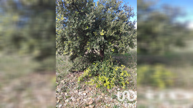 Ma-Cabane - Vente Terrain Sérignan du Comtat, 4300 m²