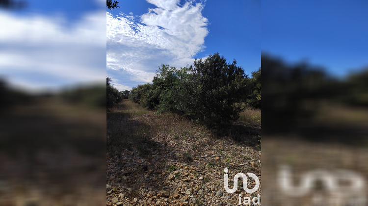 Ma-Cabane - Vente Terrain Sérignan du Comtat, 4300 m²