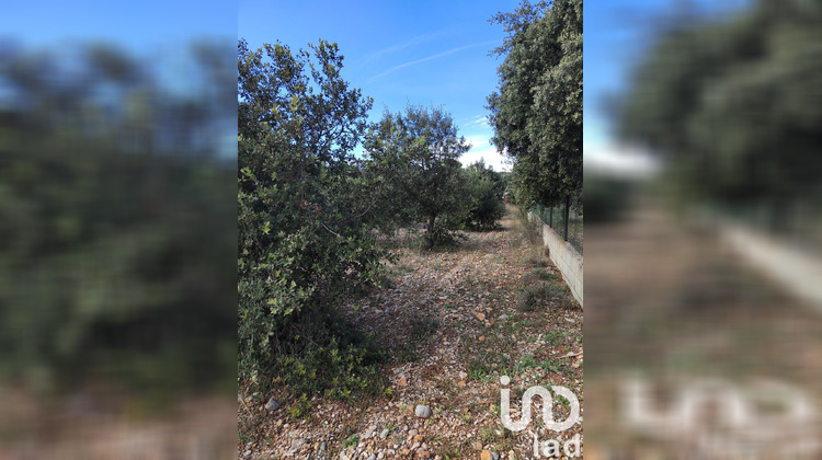Ma-Cabane - Vente Terrain Sérignan du Comtat, 4300 m²