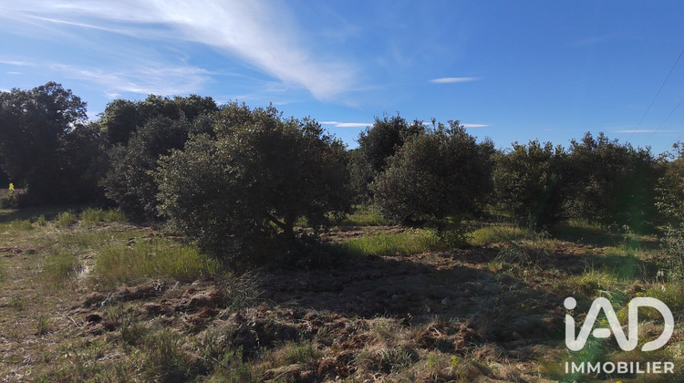 Ma-Cabane - Vente Terrain Sérignan-du-Comtat, 4300 m²