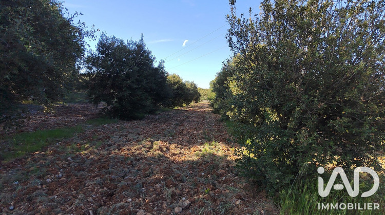Ma-Cabane - Vente Terrain Sérignan-du-Comtat, 4300 m²