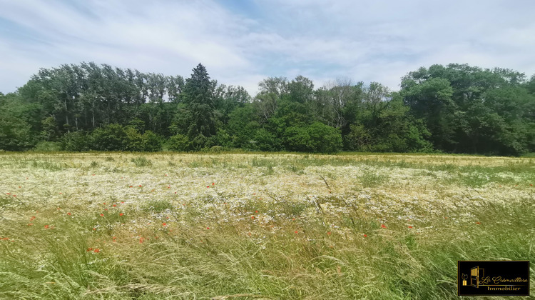 Ma-Cabane - Vente Terrain Sermaise, 514 m²