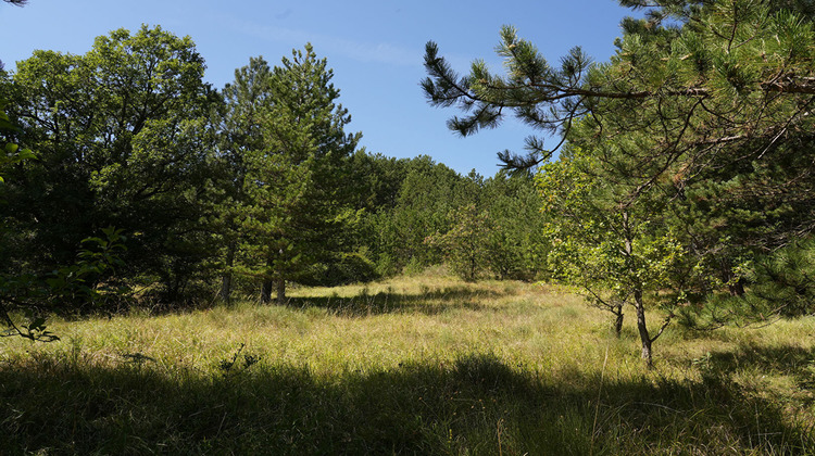 Ma-Cabane - Vente Terrain SERRES, 5167 m²