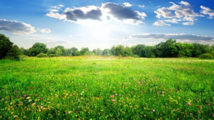 Ma-Cabane - Vente Terrain Sévérac, 670 m²