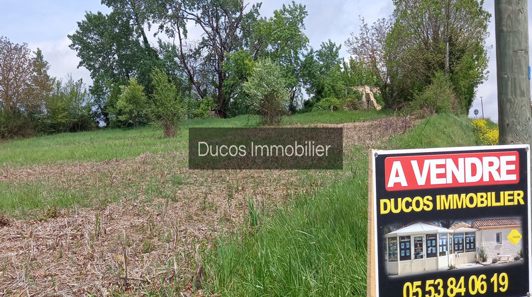 Ma-Cabane - Vente Terrain Seyches, 7030 m²