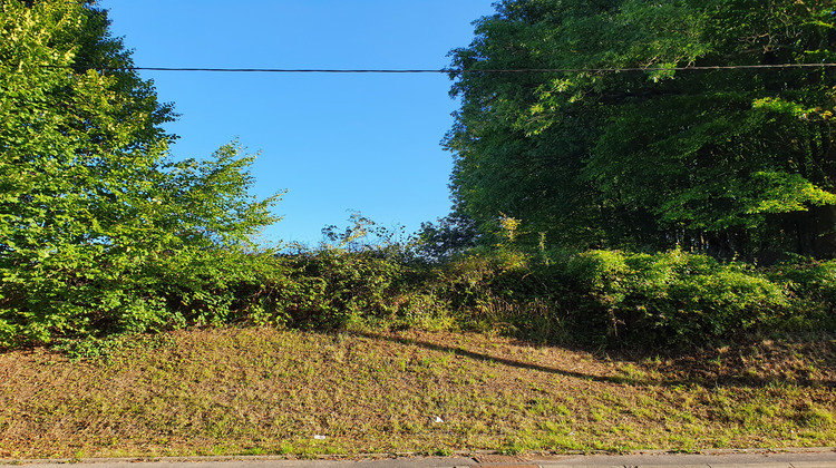 Ma-Cabane - Vente Terrain Signy-le-Petit, 810 m²