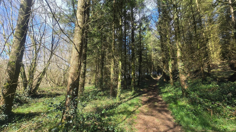 Ma-Cabane - Vente Terrain SILFIAC, 5600 m²