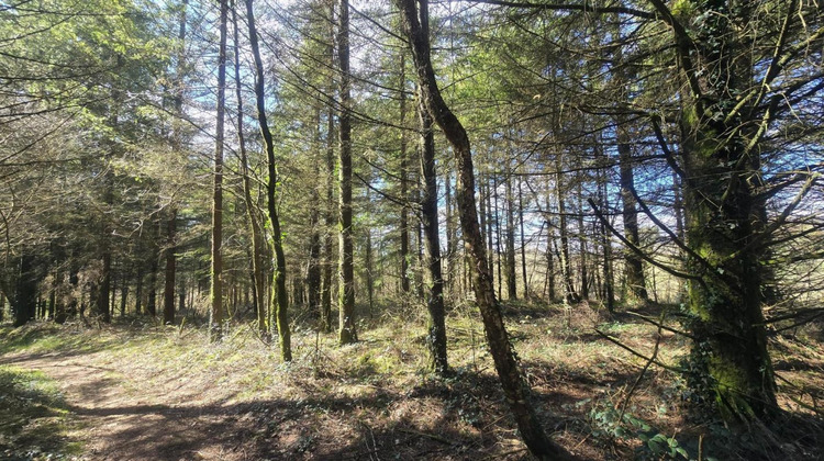 Ma-Cabane - Vente Terrain SILFIAC, 5600 m²