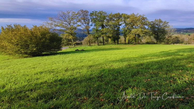 Ma-Cabane - Vente Terrain SIONIAC, 2604 m²