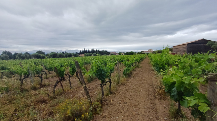 Ma-Cabane - Vente Terrain Siran, 2711 m²