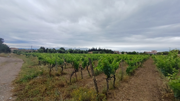 Ma-Cabane - Vente Terrain Siran, 888 m²