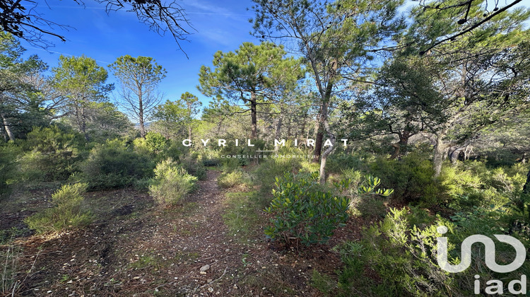 Ma-Cabane - Vente Terrain Six-Fours-les-Plages, 8590 m²