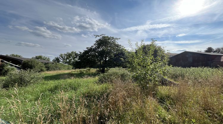 Ma-Cabane - Vente Terrain Solesmes, 6000 m²