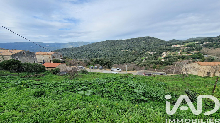 Ma-Cabane - Vente Terrain Sollacaro, 750 m²