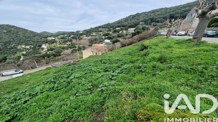 Ma-Cabane - Vente Terrain Sollacaro, 750 m²