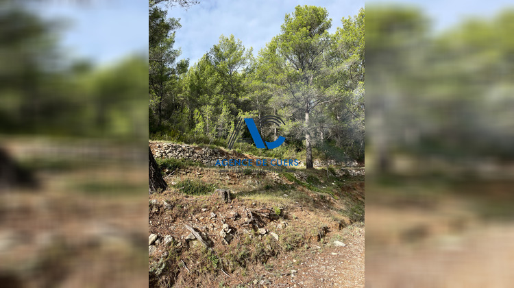 Ma-Cabane - Vente Terrain SOLLIES-TOUCAS, 30000 m²