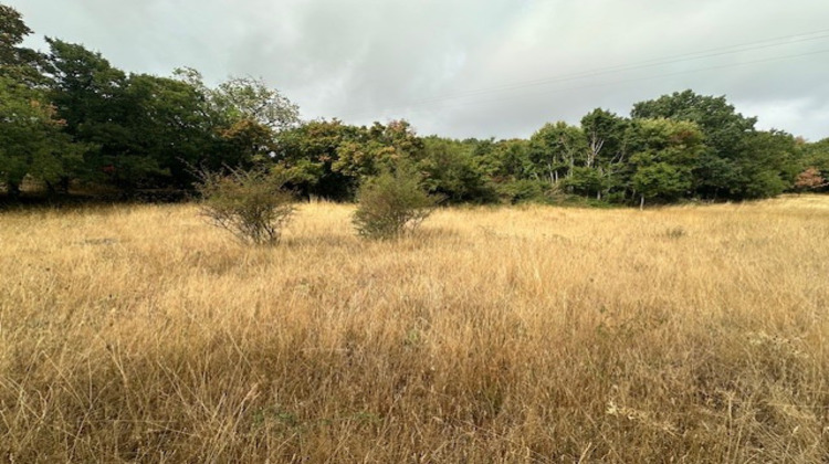 Ma-Cabane - Vente Terrain Sorbs, 3134 m²