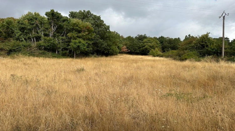 Ma-Cabane - Vente Terrain Sorbs, 3134 m²