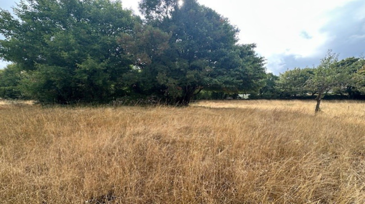 Ma-Cabane - Vente Terrain Sorbs, 3134 m²