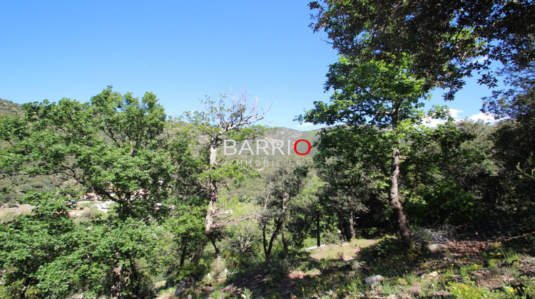 Ma-Cabane - Vente Terrain Sorède, 1869 m²