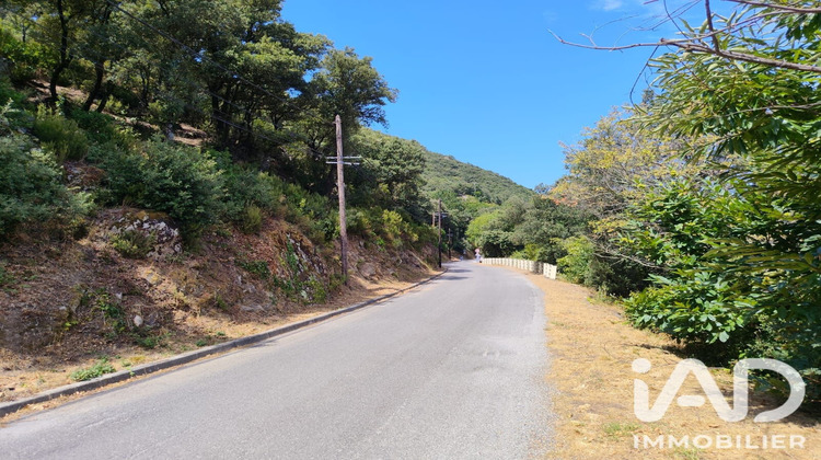 Ma-Cabane - Vente Terrain Sorède, 1227 m²