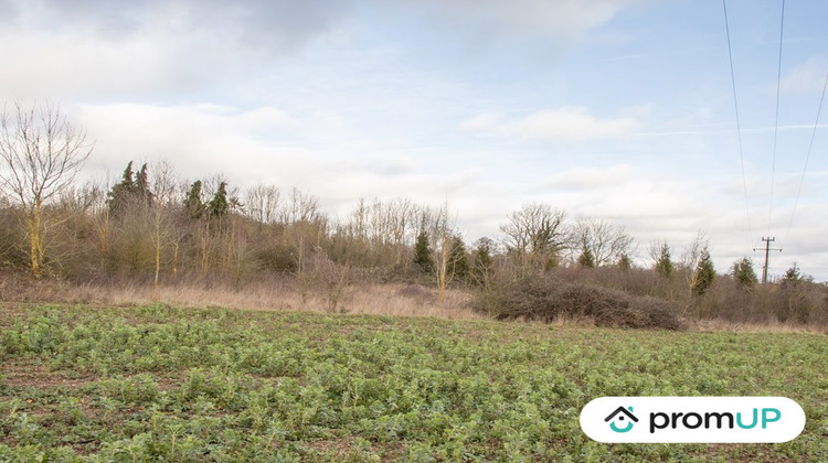 Ma-Cabane - Vente Terrain Sorel-en-Vimeu, 9470 m²