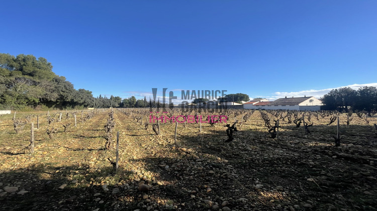 Ma-Cabane - Vente Terrain Sorgues, 500 m²