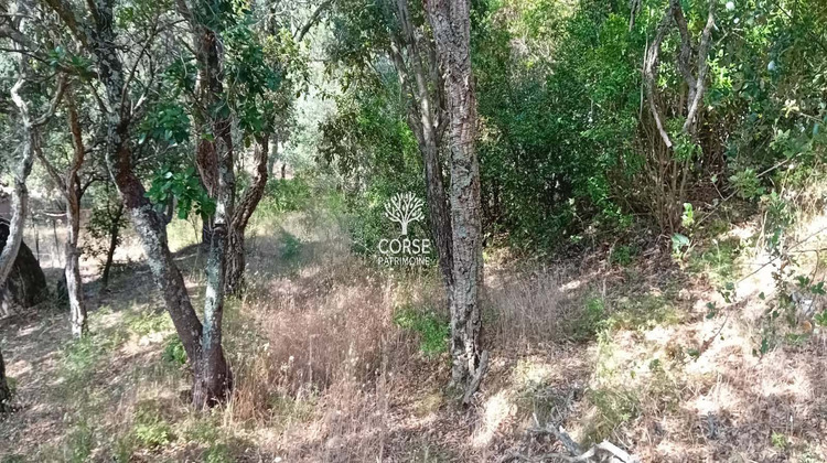 Ma-Cabane - Vente Terrain Sotta, 1280 m²