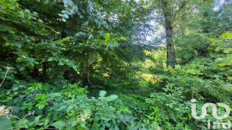 Ma-Cabane - Vente Terrain Soucht, 2051 m²