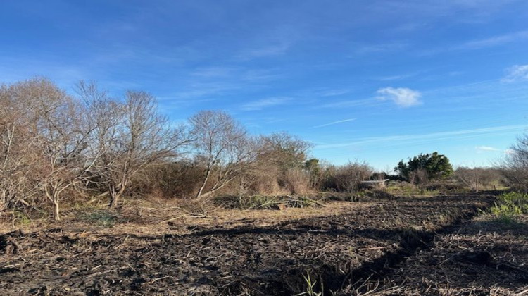 Ma-Cabane - Vente Terrain Soulac-sur-Mer, 1130 m²