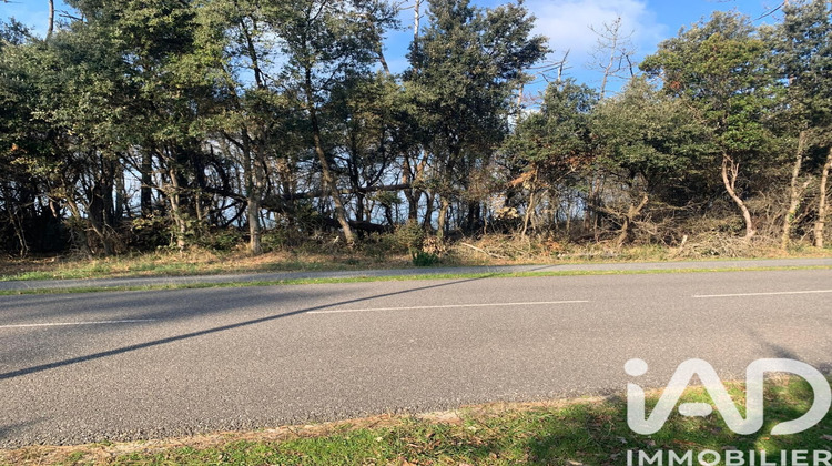 Ma-Cabane - Vente Terrain Soulac-sur-Mer, 1560 m²