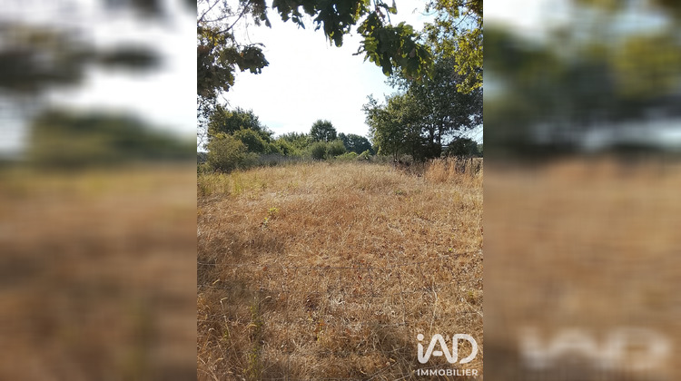 Ma-Cabane - Vente Terrain Soulaines-sur-Aubance, 2400 m²
