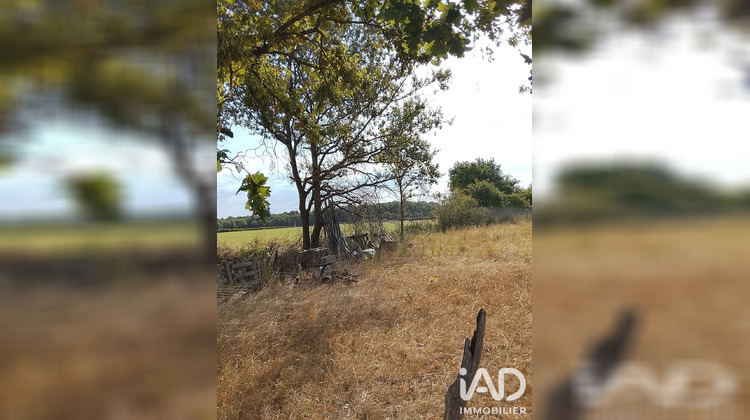 Ma-Cabane - Vente Terrain Soulaines-sur-Aubance, 2400 m²