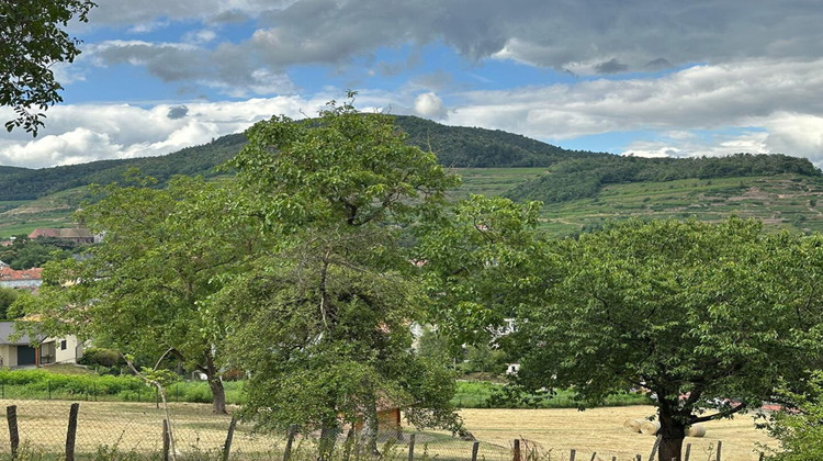 Ma-Cabane - Vente Terrain SOULTZ HAUT RHIN, 3739 m²