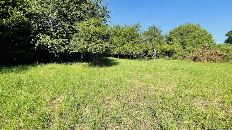 Ma-Cabane - Vente Terrain Soultz-les-Bains, 1193 m²