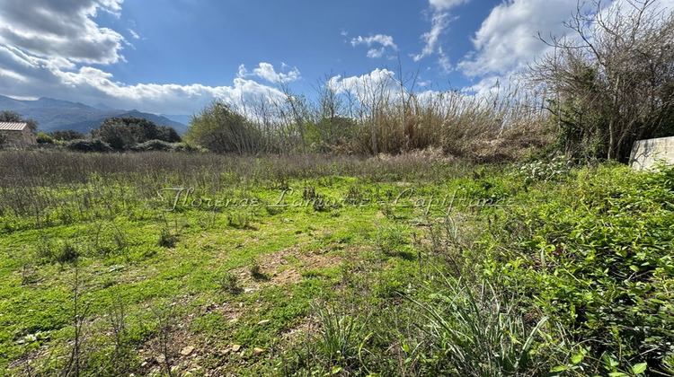 Ma-Cabane - Vente Terrain SPELONCATO, 990 m²